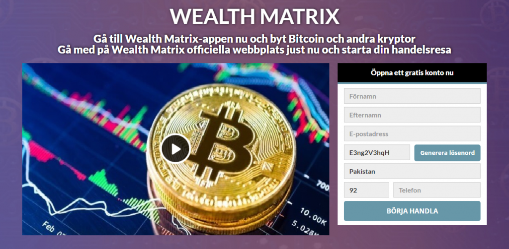 wealth matrix