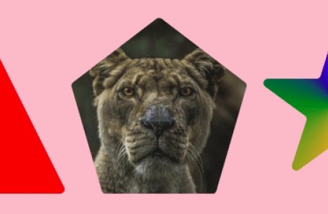 Utforska CSS Paint API: Rounding Shapes del 20 (0)